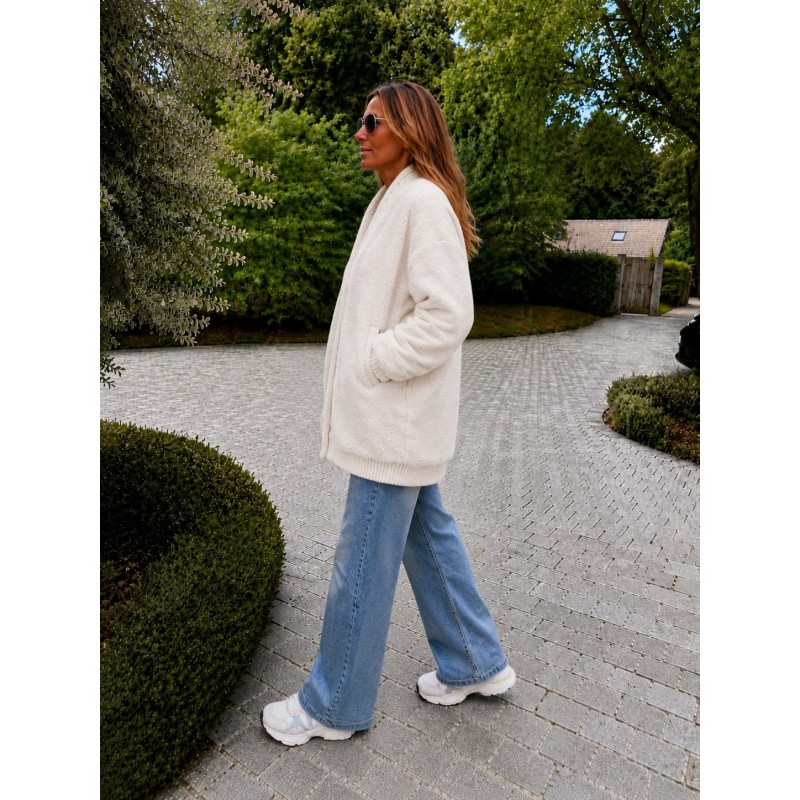Veste Romane